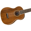 Fender Zuma Nat