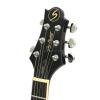 Samick AV6 VS elektrick gitara