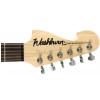 Washburn N1 PS elektrick gitara