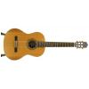 Baton Rouge LMCM klasick gitara