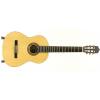 Baton Rouge LM5 SM58 klasick gitara