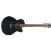 Ibanez AEL 2012 E TKS elektricko-akustick gitara