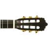 Baton Rouge LMS klasick gitara