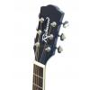 Richwood RD12 BUS akustick� gitara