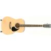 EverPlay D-14 BK akustick gitara