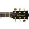 Richwood RE125 TS elektrická gitara Richwood RE125 TS elektrická gitara