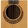 Luna Safari Muse Spruce akustick� gitara
