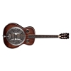 Dean Resonator Spider AO