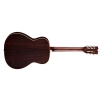 Dean Resonator Spider AO