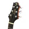 Samick D2 N akustick gitara