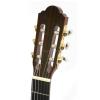 Baton Rouge LM5 Speci Cut P klasick� gitara