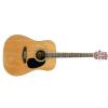 Richwood RD12 N akustick gitara