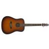 Baton Rouge L6 AB akustick� gitara