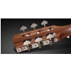 Framus FP 14 SV - Vintage Transparent High Polish Natural Tinted
