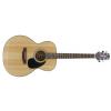 Takamine G220S akustick gitara