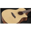 Framus FG 14 SV - Vintage Transparent High Polish Natural Tinted + EQ