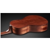 Framus FP 14 SV - Vintage Transparent High Polish Natural Tinted