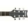 Ibanez AXS32DRF elektrick gitara