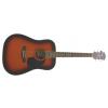 Richwood RD12 SB akustick gitara