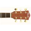 T.Burton W-34C/N akustick gitara