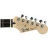 Fender Standard Stratocaster RW Brown Sunburst elektrick gitara