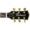 Richwood RE135 HB elektrick gitara