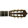 Baton Rouge LM5 SM58 klasick gitara