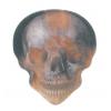 HotPicks LP24 Flame Skull gitarov trstko