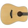 Baton Rouge R30 t1 akustick� gitara