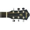 Ibanez V72ENT akustick gitara