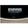 Evans BD20RS EQ-2 resonant blana na bubon
