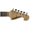 Washburn X9-CM elektrick gitara