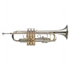 Stagg 77THGNI