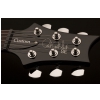 Prs 2017 Se Custom 22 Semi-Hollow Grey Black
