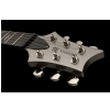 Prs Se Standard 22 Pl