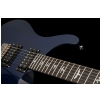 Prs Se Standard 24 Tb