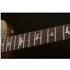 PRS 2017 SE Zach Myers Trampas Green