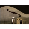 PRS 2017 SE Zach Myers Trampas Green