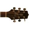 Takamine G220NS akustick gitara