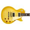 Epiphone Les Paul Standard Plus TA elektrická gitara Epiphone Les Paul Standard Plus TA elektrická gitara