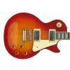 Epiphone Les Paul Standard Plus HS elektrick gitara