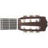 Takamine G116 klasick gitara