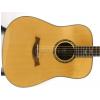 Baton Rouge 30 Starr akustick� gitara