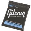 Gibson SEG-VR10 Vintage Reissue struny na elektrick gitaru