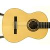 Baton Rouge LM5 SM58 klasick gitara