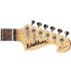 Washburn X9-B elektrick gitara