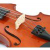 Leonardo VS-1644 husle 4/4 s puzdrom