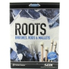 Toontrack Sdx Roots Brush