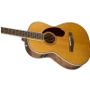 Fender PM-2 Standard Parlor Nat  akustick gitara