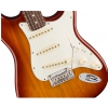 Fender American Pro Stratocaster Rosewood Fingerboard, Sienna Sunburst